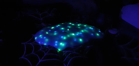 SAMPLE PRODUCT, NOT FOR SALE