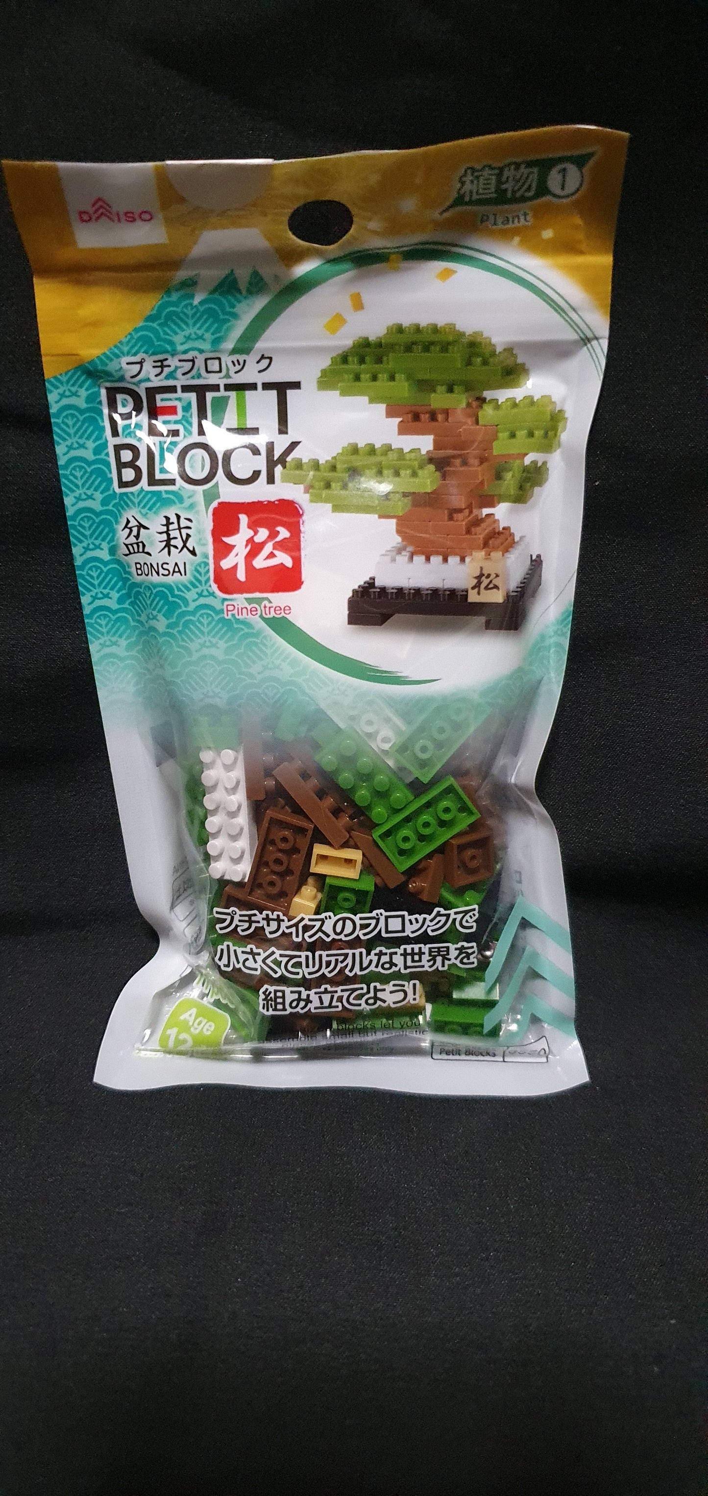 Petit block Pine tree Bonsai