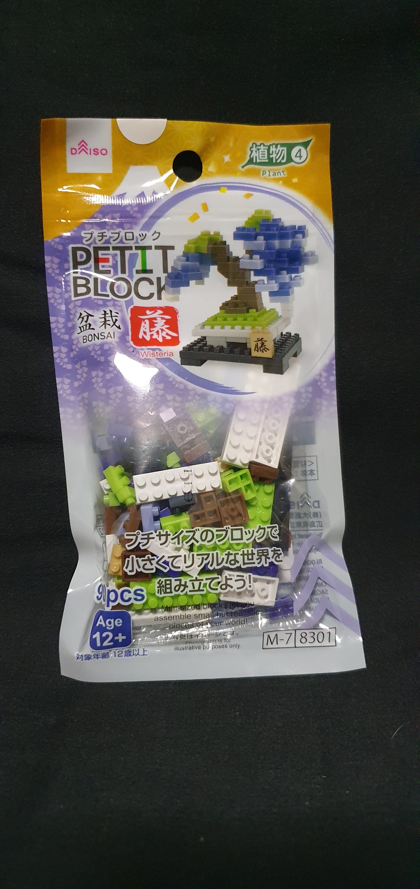Petit block Wisteria Bonsai