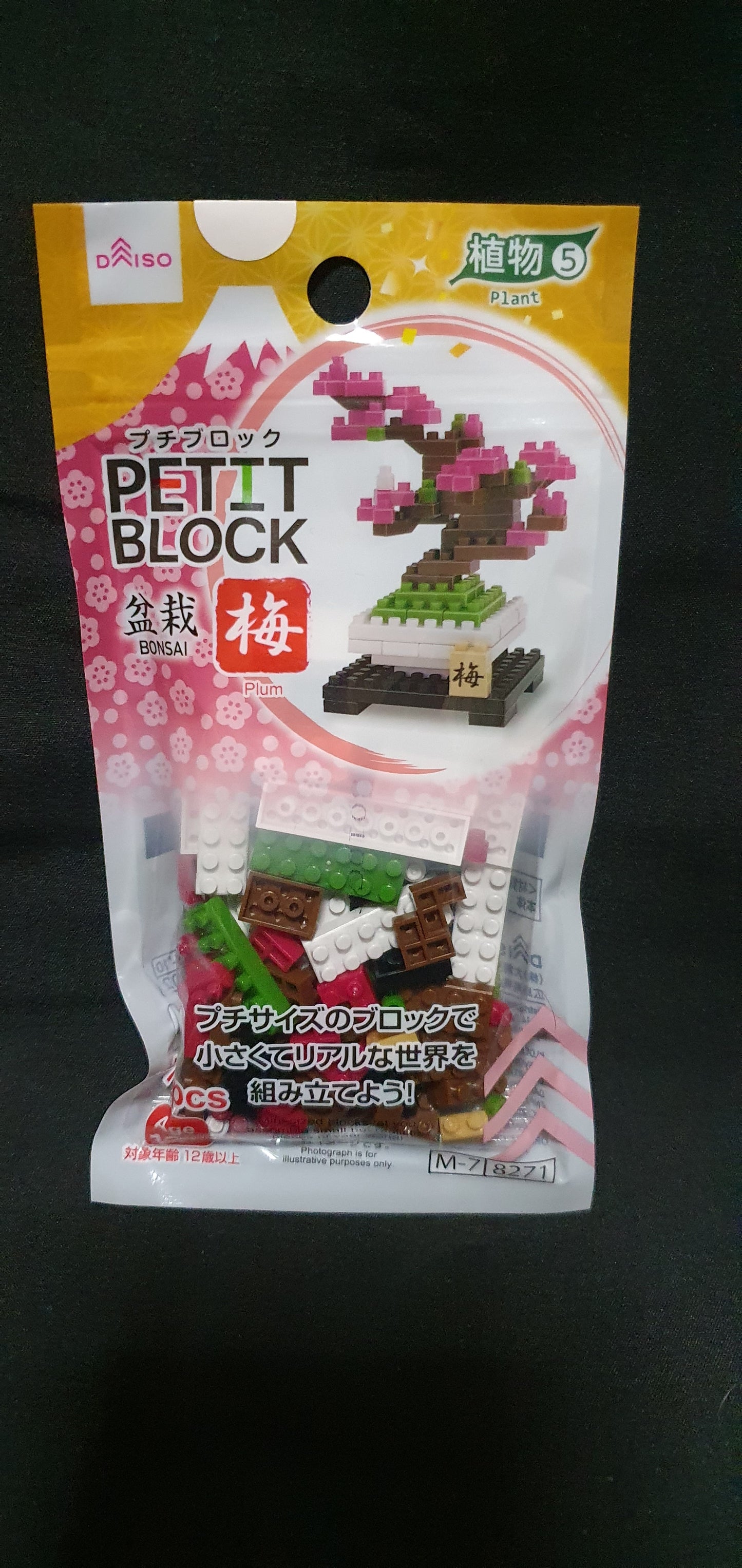 Petit block Plum tree Bonsai